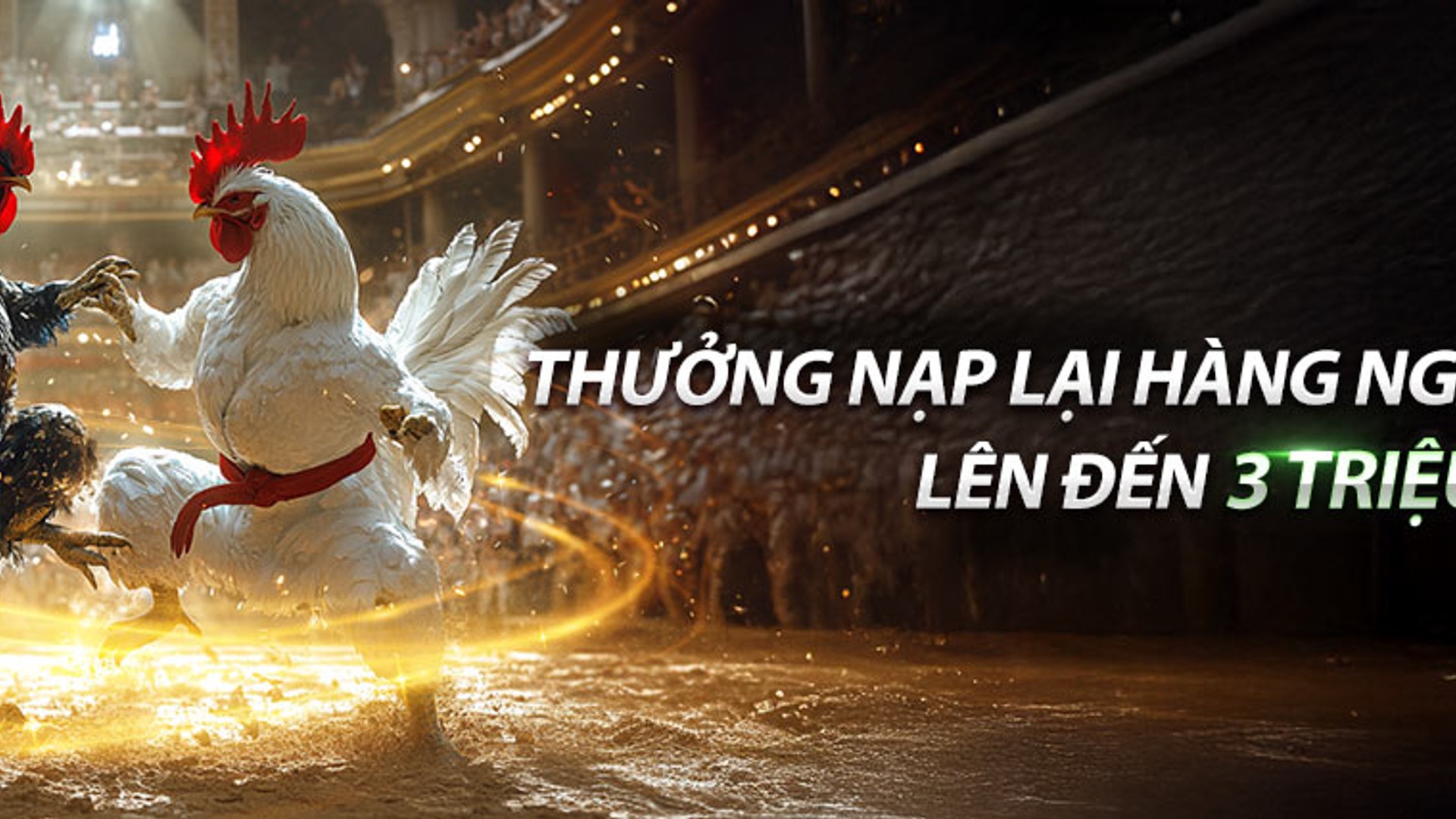 Cổng Đặt Cược Thể Thao Điện Tử Onbet